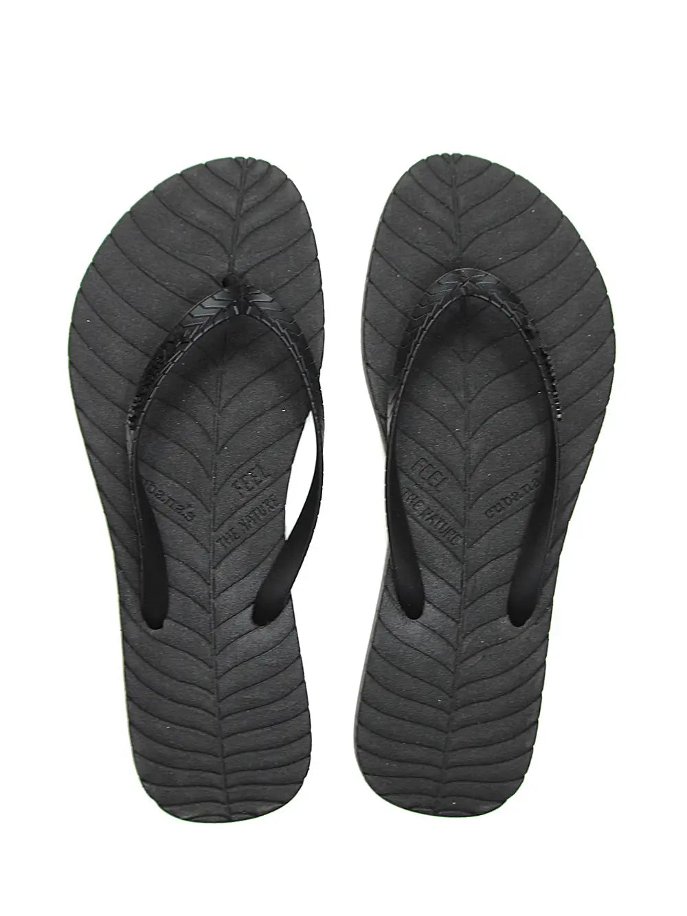 Black Slipper